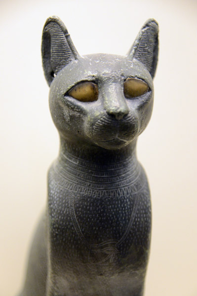 Copper alloy sarcophagus for a cat