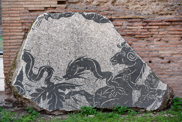 Mosaic fragment - Terme di Caracalla