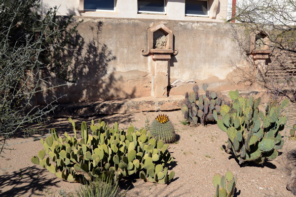 Tucson Feb16 171.jpg