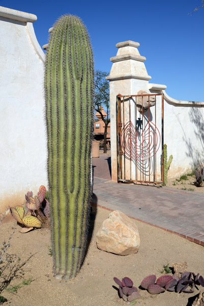 Tucson Feb16 178.jpg