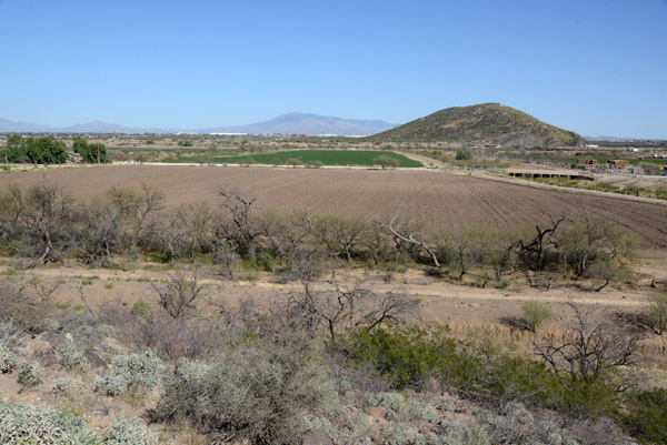 Tucson Feb16 183.jpg