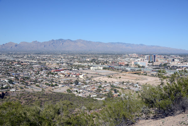 Tucson Feb16 194.jpg