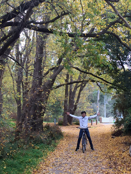 Capital City Trail - Yarra Trail