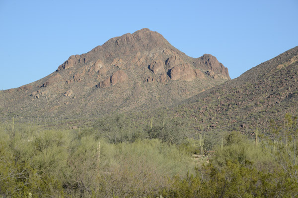 Tucson Feb16 264.jpg