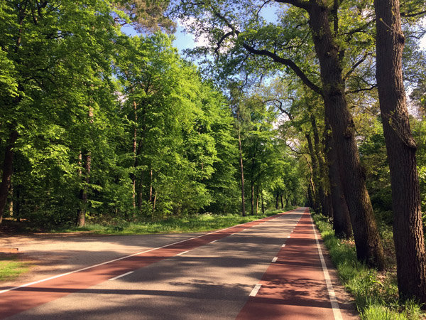 Cycle lanes along the road from Arnhem to Hoge Veluwe National Park