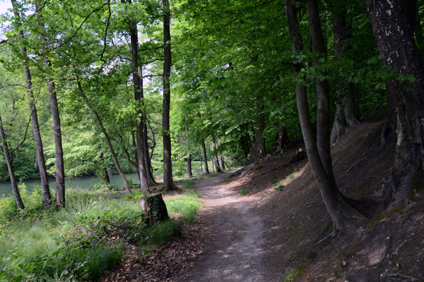 Cycling through Park Sonsbeek, Arnhem