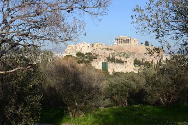 Acropolis through the trees 
