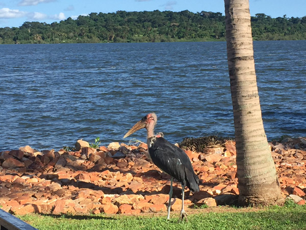 Entebbe Apr17 018.jpg