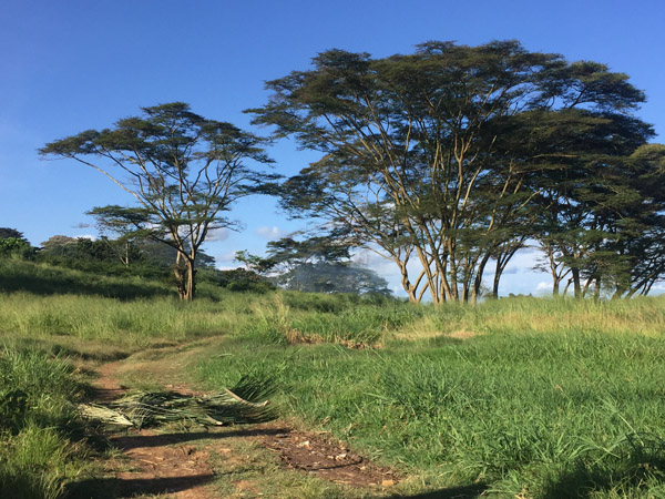 Entebbe Apr17 026.jpg