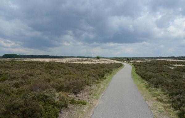 Cycling in De Hoge Veluwe National Park