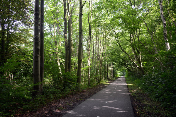 Cycling through Het Amsterdamse Bos