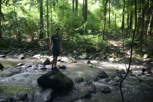 Pamulaklakin Forest Trail, Subic Bay