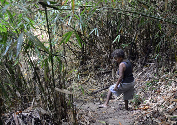 The guides on the Pamulaklakin Forest Trail are from the indigenous Aeta tribe 