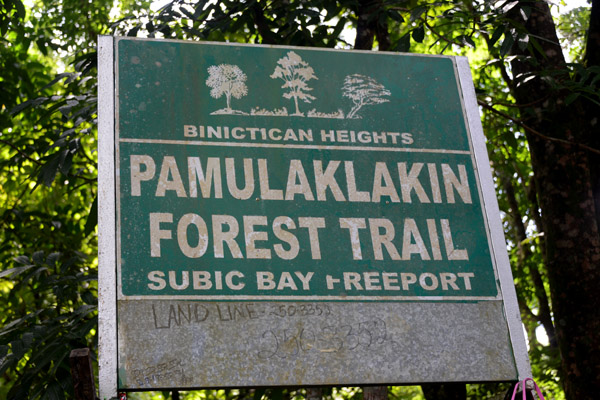 Pamulaklakin Forest Trail lets visitors experience the protected forests of Subic Bay