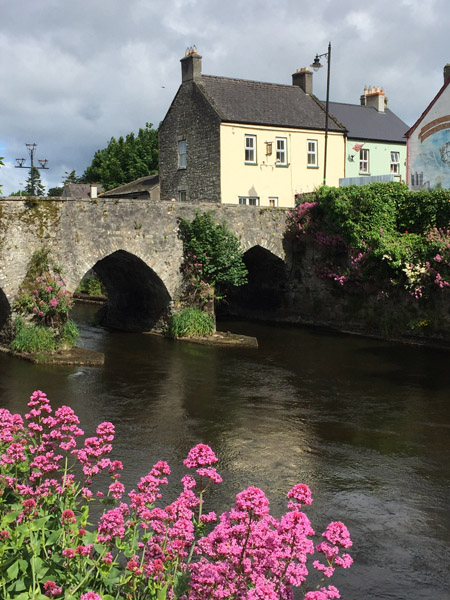 The oldest bridge in Ireland, Trim