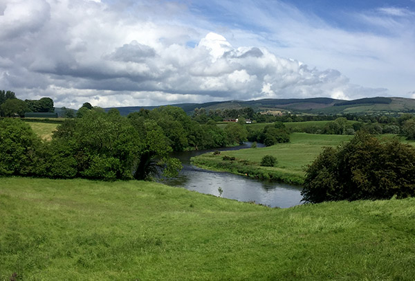 Green landscape around the Ulster American Folk Park