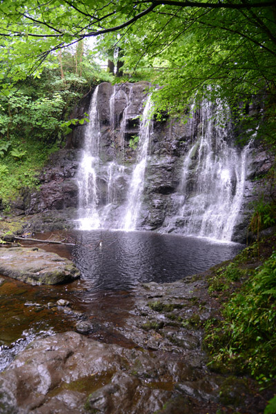 Ess-Na-Grub, Waterfall Trail, Glenariff Forest Park