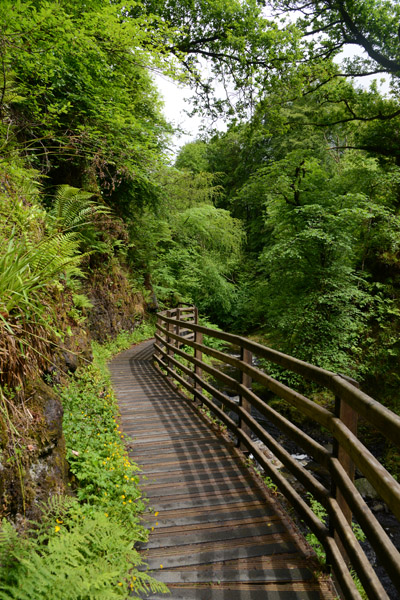 Waterfall Trail, Glenariff Forest Park