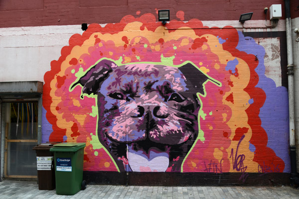 Mural of a dog, Belfast