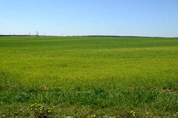 Open flat plains of Belarus