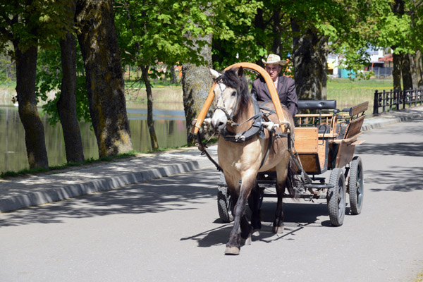 Horse-drawn tourist wagon, Nesvizh