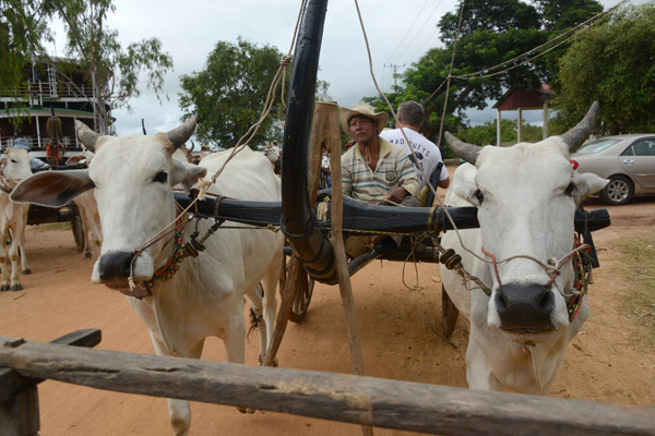 Cambodia Nov17 0450.jpg