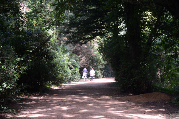 Bike path towards the west part fo the island