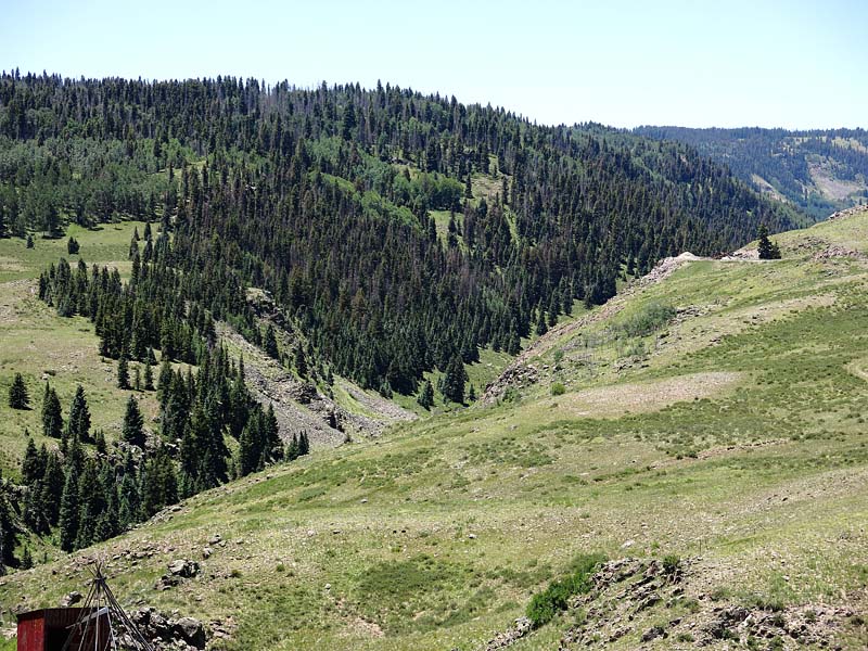 View from Osier