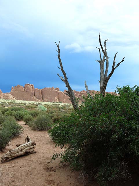 Foreboding View