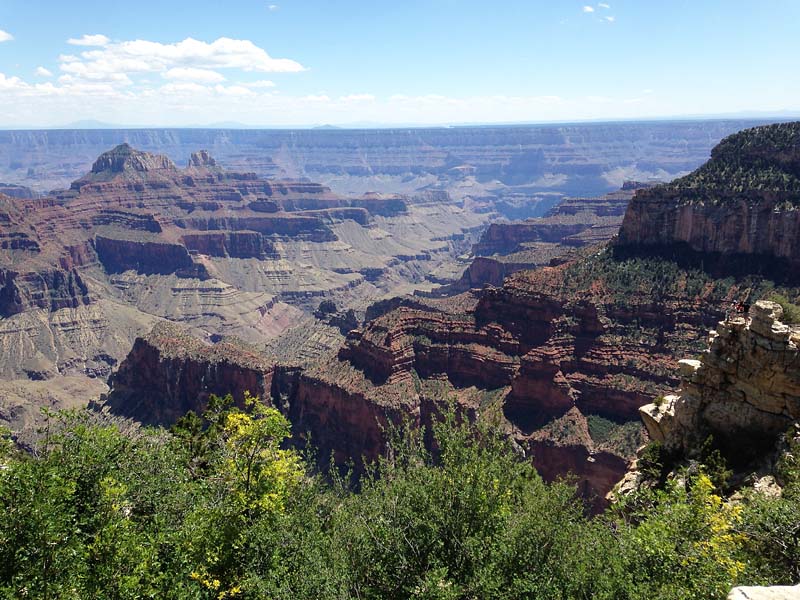 An Unobstructed View