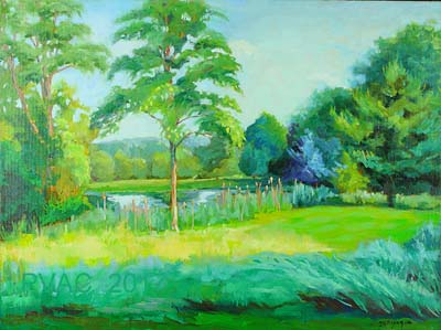 3rd Prize - Professional