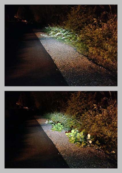 Trail, before and after maintenance