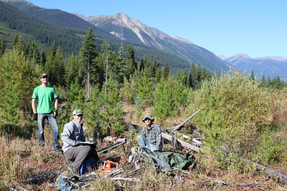 NIMS fieldwork in BC