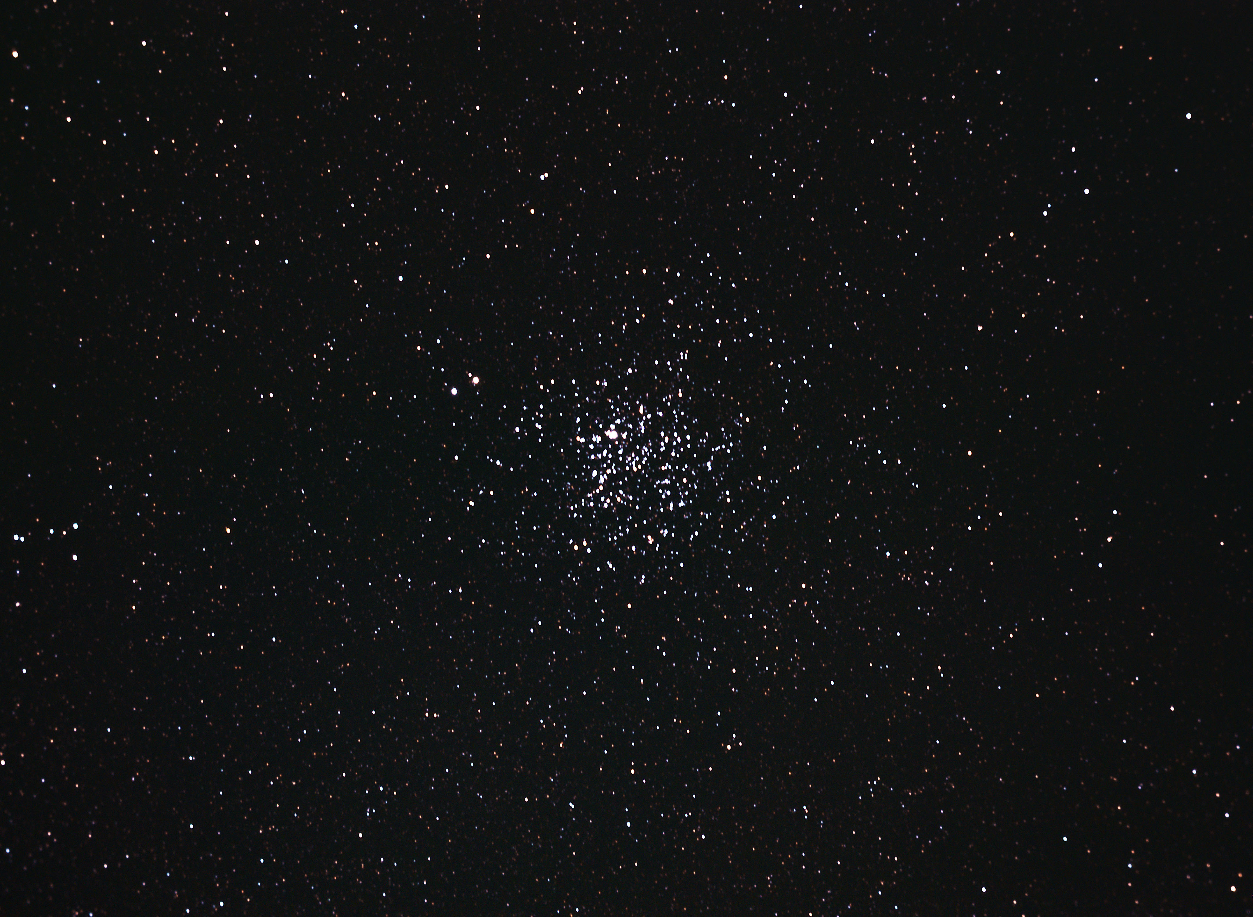 M11 -THE  WILD DUCK CLUSTER