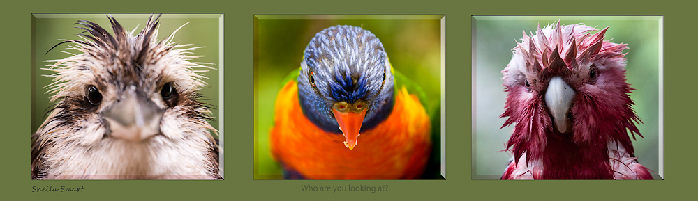 Who are you looking at?