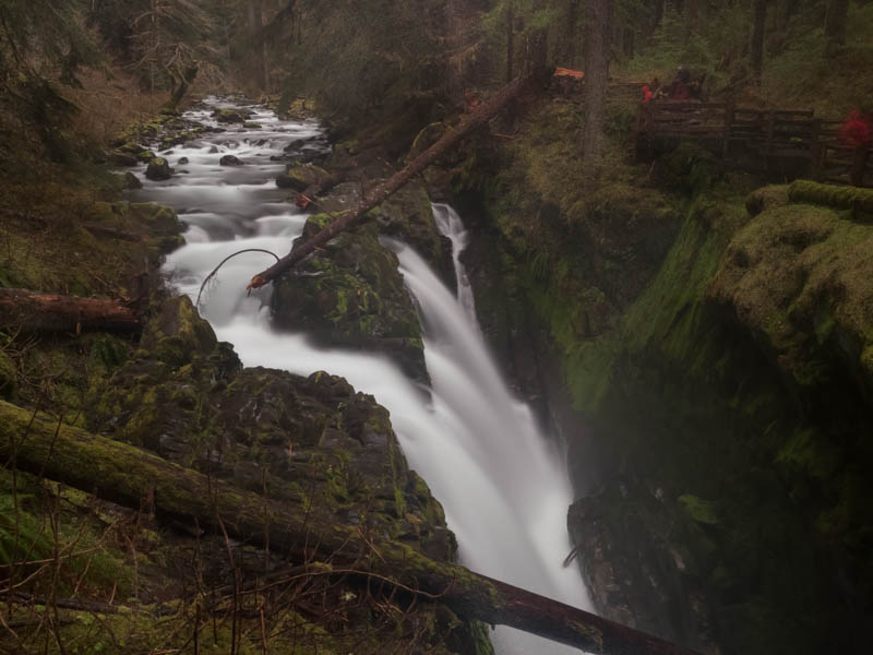 elwha-13.jpg