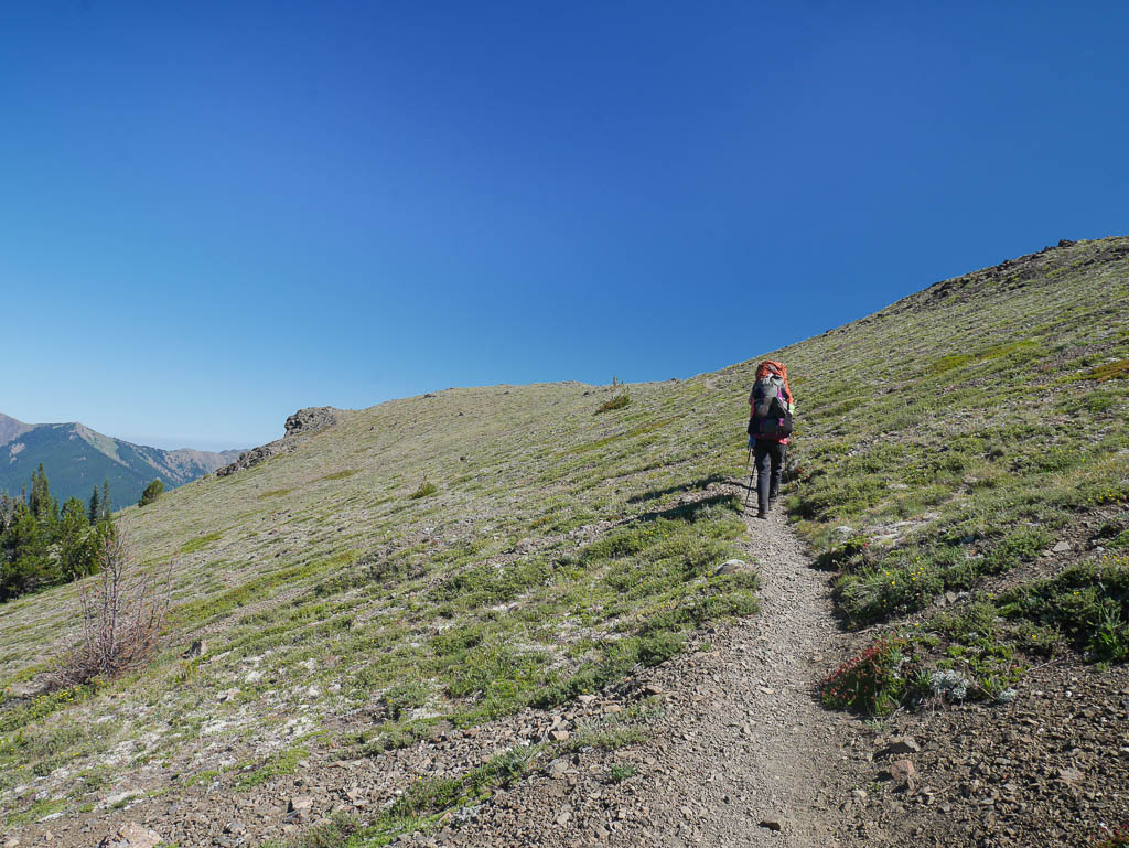 constance_pass-15.jpg