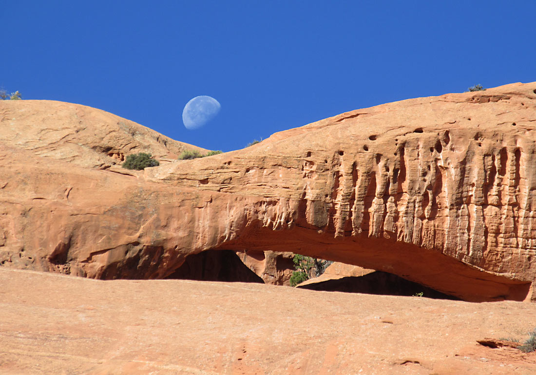 Upper muley twist- Good moon rising over an arch