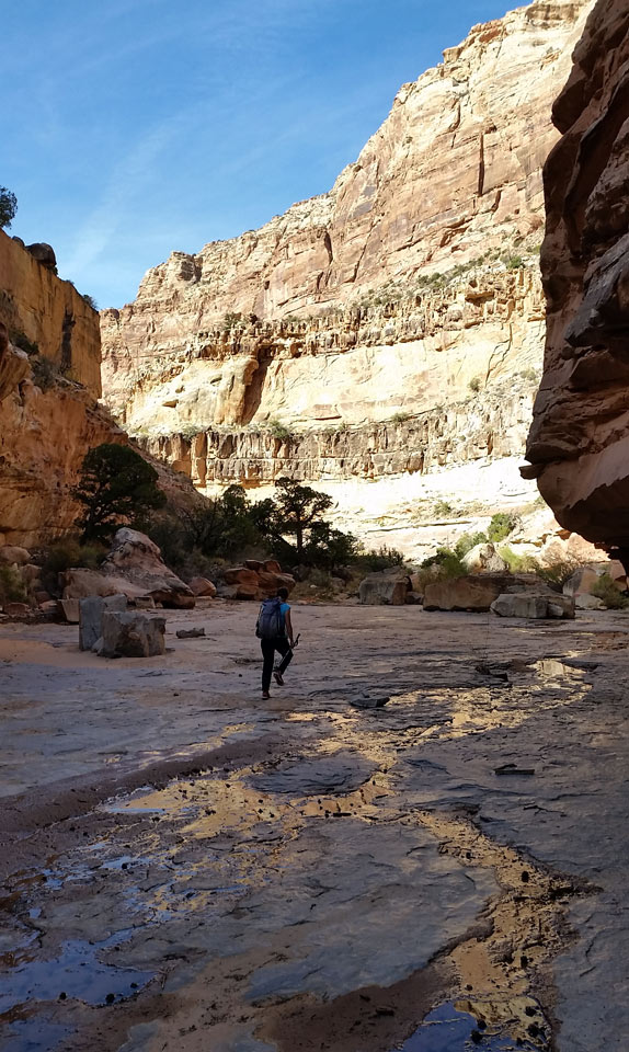 Dark canyon- good flowing water