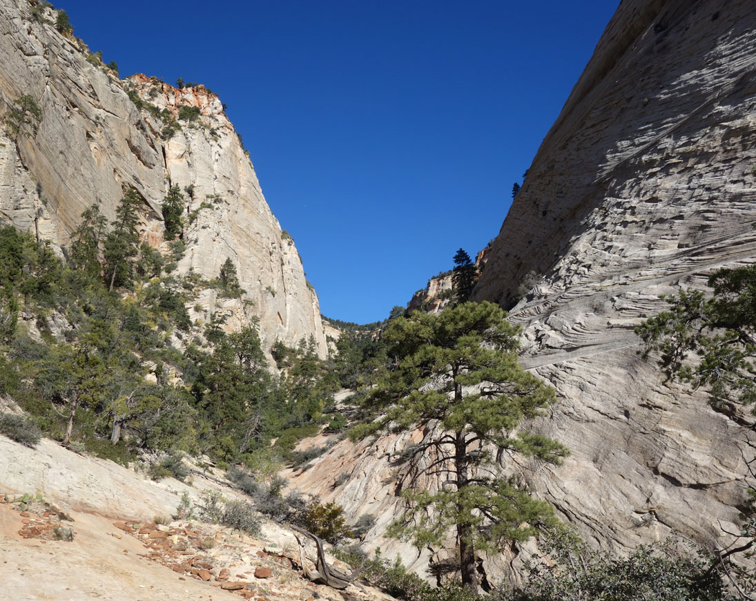 Zion- At the top of the many pools route. Our plan was to bushwack up the brushy canyon onto the plateau