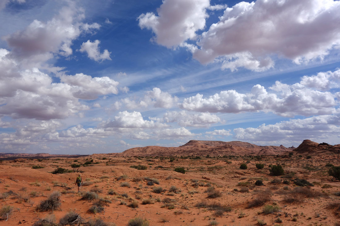 The Scorpion Flat plateau made for a fine hike