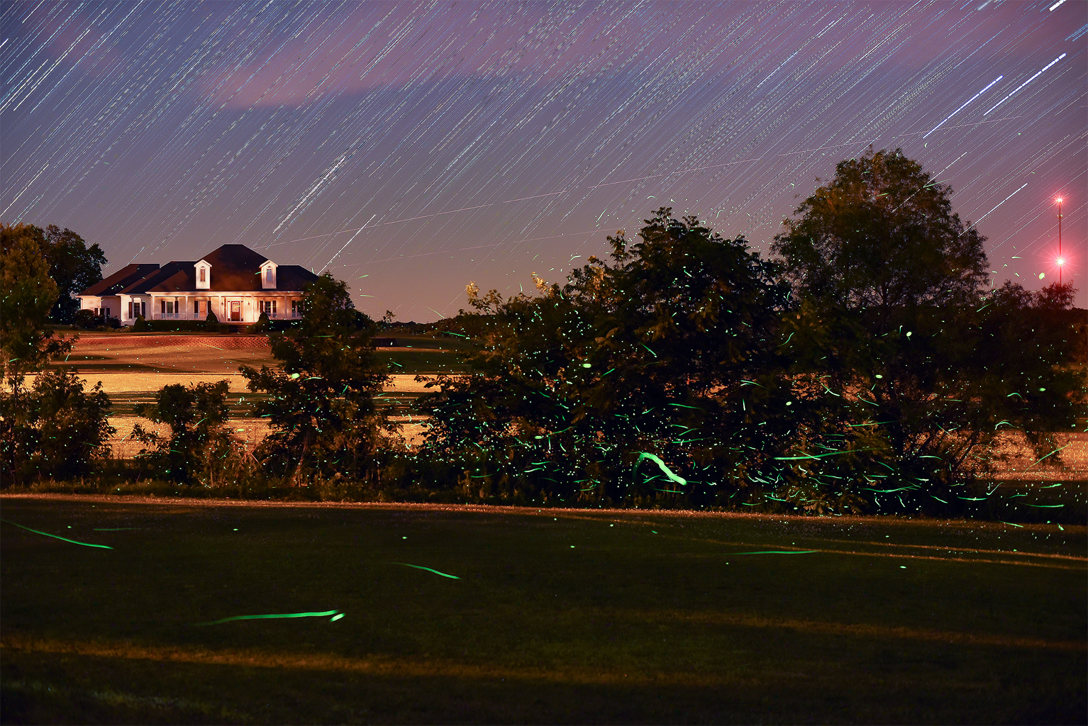 Lightning Bugs with Star Trails