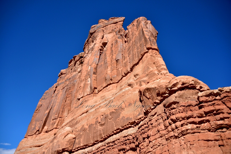 The Organ in Arches National Park Moab Utah 727  