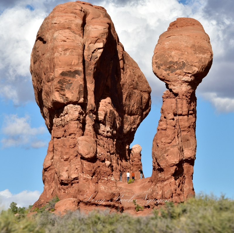 Rock formation at Garden of Eden in Arches National Park Moab Utah 1110  