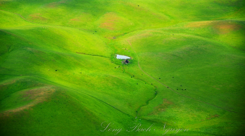 Watering Hole west of Willows California 425  