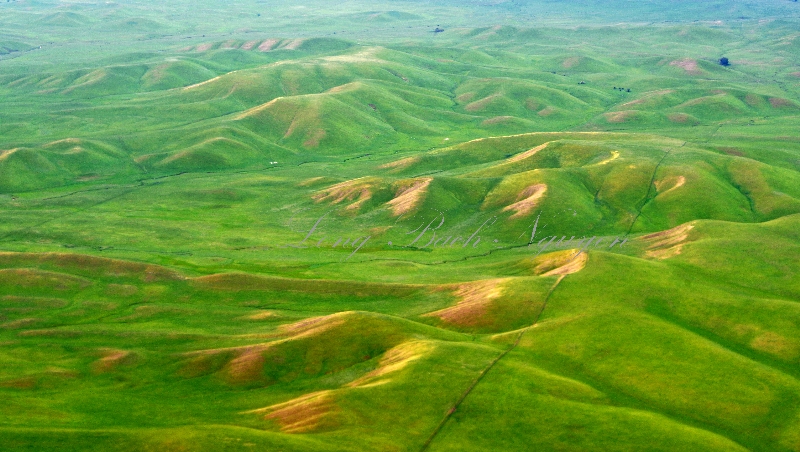 Rolling Hills  by Willows California 356 