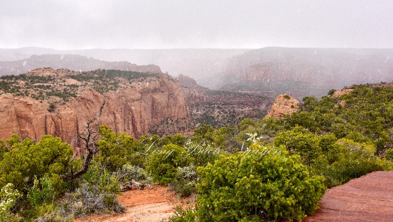 Light Snow at Navajo National Monument Arizona 408  