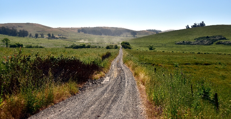 Dirt Road 314  