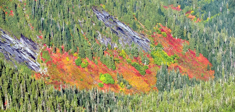Fall foliage and colors near Three Fingers 072  