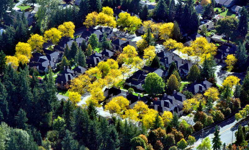 Section of Yellow in neighborhood 431 